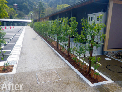 岐阜公園内苑 植栽工事