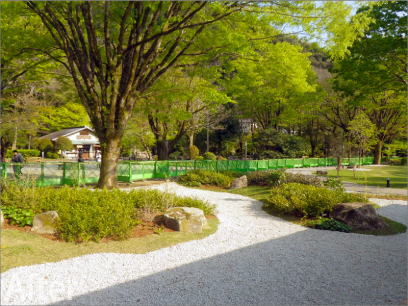 岐阜公園内苑 植栽工事