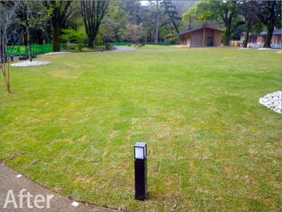 岐阜公園内苑 植栽工事