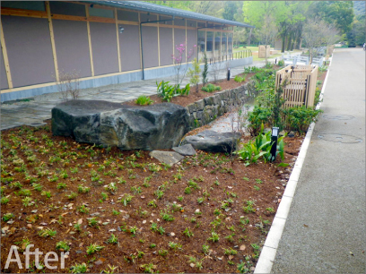 岐阜公園内苑 植栽工事