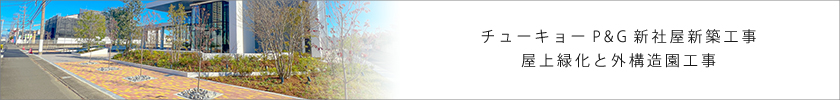 チューキョーP&G 新社屋新築工事 屋上緑化と外構造園工事