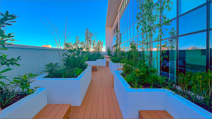 チューキョーP＆G 新社屋新築工事