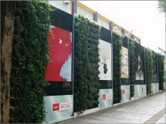 樹木医カトちゃんの「東京」見て歩き