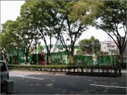 樹木医カトちゃんの「東京」見て歩き