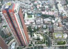 樹木医カトちゃんの「東京」見て歩き