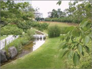 樹木医カトちゃんの「東京」見て歩き