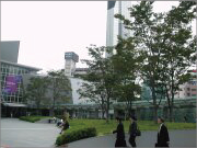 樹木医カトちゃんの「東京」見て歩き