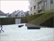 樹木医カトちゃんの「東京」見て歩き