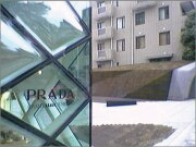 樹木医カトちゃんの「東京」見て歩き