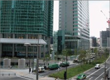 樹木医カトちゃんの「東京」見て歩き