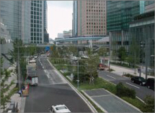 樹木医カトちゃんの「東京」見て歩き