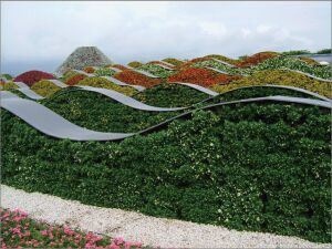 永田カメラマンの「浜名湖花博」