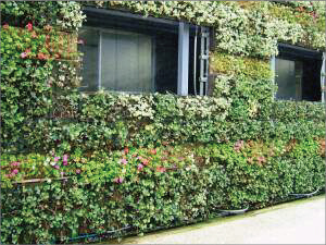 永田カメラマンの「浜名湖花博」