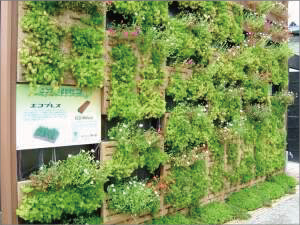 永田カメラマンの「浜名湖花博」