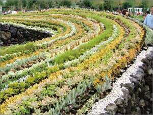 永田カメラマンの「浜名湖花博」