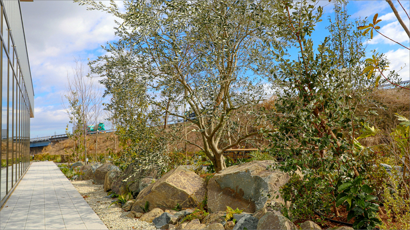 ジーテクト中部工場新築工事 外構植栽工事