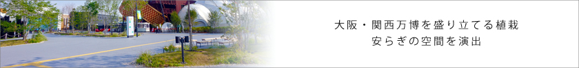 大阪・関西万博を盛り立てる植栽 安らぎの空間を演出