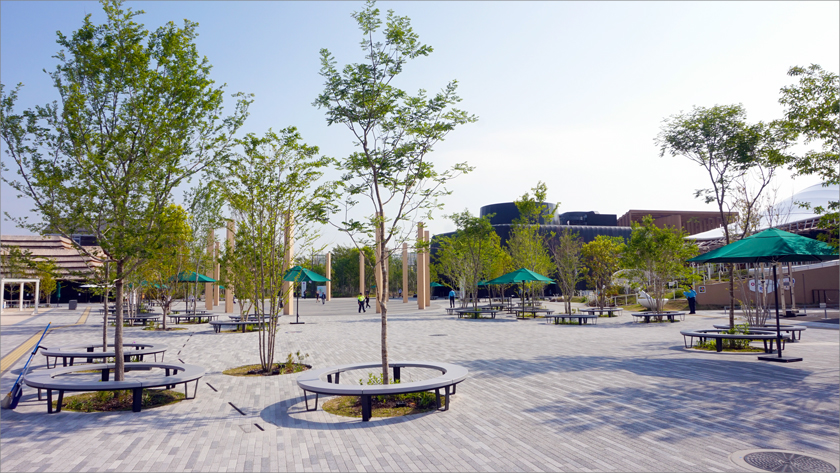 大阪・関西万博を盛り立てる植栽が安らぎの空間を演出