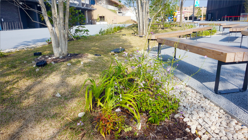 大阪・関西万博を盛り立てる植栽が安らぎの空間を演出